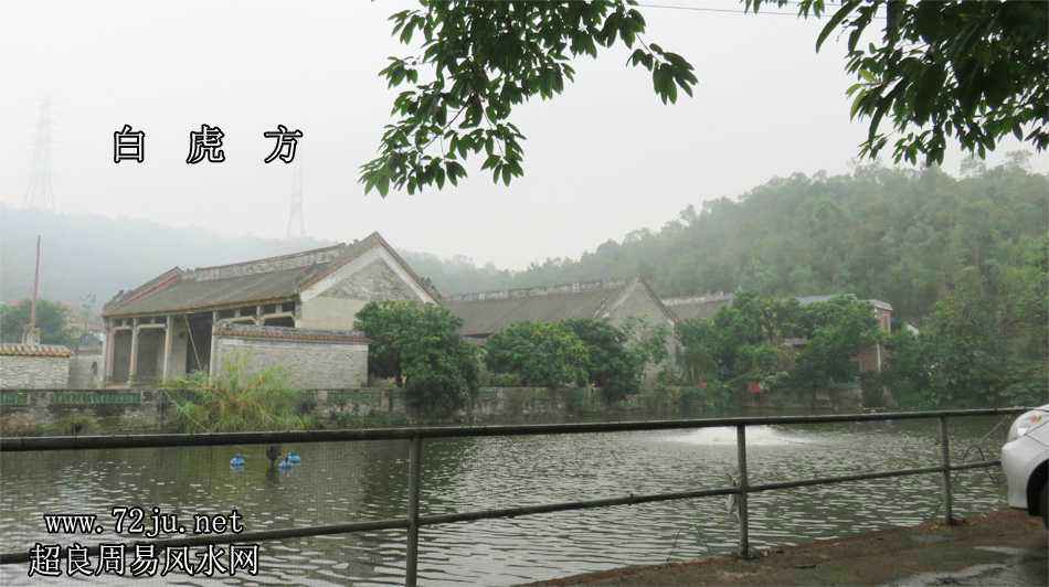 08.jpg